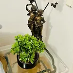 Sunny Panorama Solarium